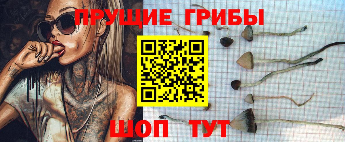 Коломна  Псилоцибиновые грибы мухоморы  Вход с VPN 